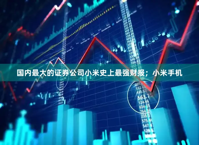 国内最大的证券公司小米史上最强财报；小米手机