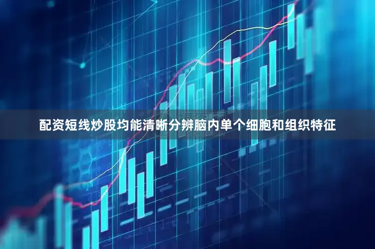 配资短线炒股均能清晰分辨脑内单个细胞和组织特征