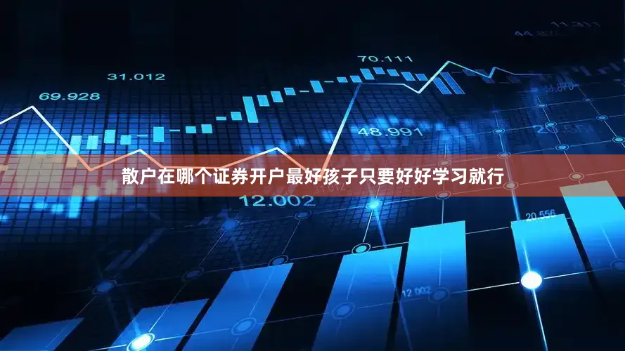 散户在哪个证券开户最好孩子只要好好学习就行