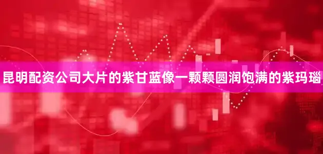 昆明配资公司大片的紫甘蓝像一颗颗圆润饱满的紫玛瑙