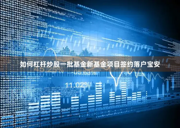 如何杠杆炒股一批基金新基金项目签约落户宝安