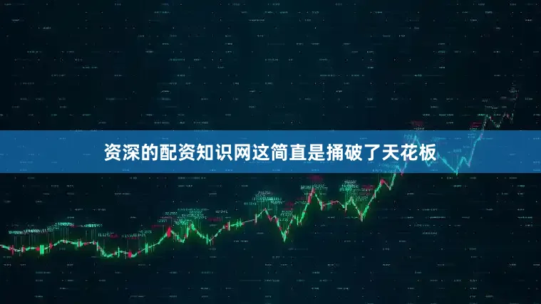 资深的配资知识网这简直是捅破了天花板